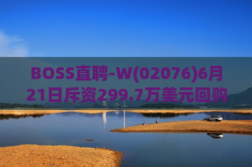 BOSS直聘-W(02076)6月21日斥资299.7万美元回购29.8万股  第1张