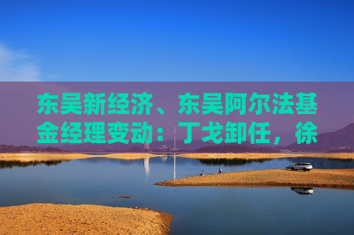 东吴新经济、东吴阿尔法基金经理变动：丁戈卸任，徐慢接手，任职收益下滑显著