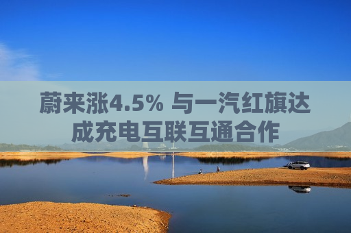 蔚来涨4.5% 与一汽红旗达成充电互联互通合作  第1张