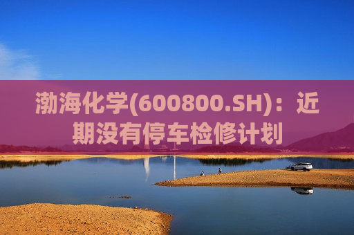 渤海化学(600800.SH)：近期没有停车检修计划