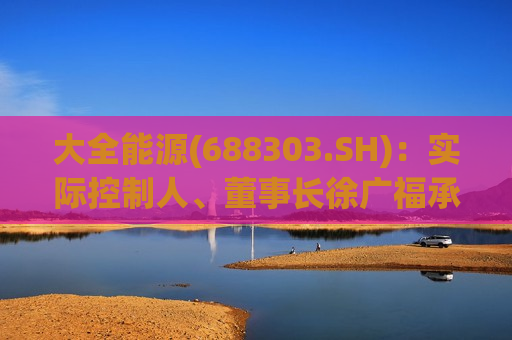 大全能源(688303.SH)：实际控制人、董事长徐广福承诺6个月内不减持公司股份