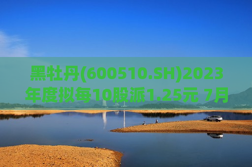 黑牡丹(600510.SH)2023年度拟每10股派1.25元 7月5日除权除息