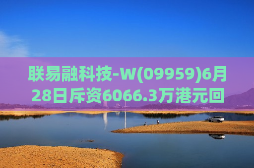 联易融科技-W(09959)6月28日斥资6066.3万港元回购2854.2万股  第1张