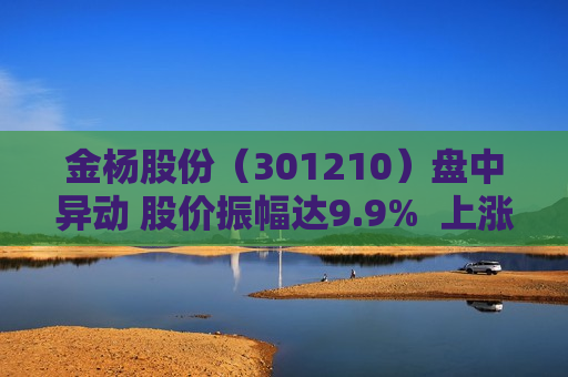 金杨股份（301210）盘中异动 股价振幅达9.9%  上涨9.23%（06-26） 第1张