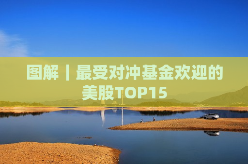 图解｜最受对冲基金欢迎的美股TOP15  第1张