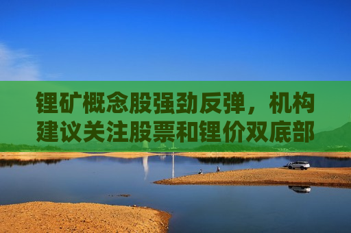 锂矿概念股强劲反弹，机构建议关注股票和锂价双底部战略性布局机会