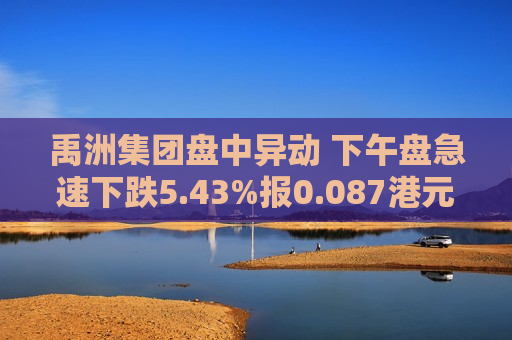 禹洲集团盘中异动 下午盘急速下跌5.43%报0.087港元