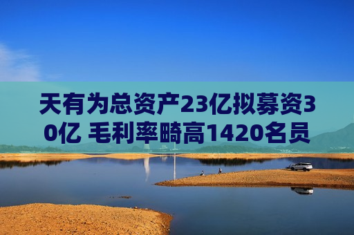 天有为总资产23亿拟募资30亿 毛利率畸高1420名员工未缴社保  第1张