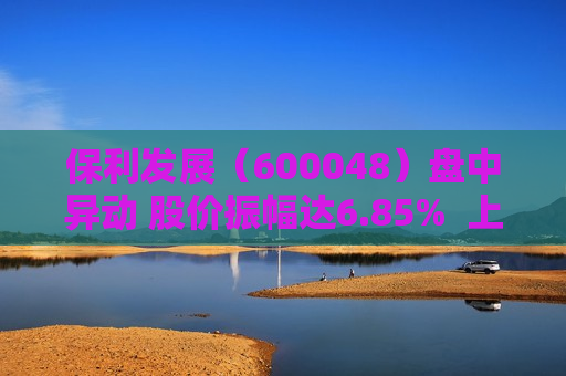 保利发展（600048）盘中异动 股价振幅达6.85%  上涨7.08%（07-01）