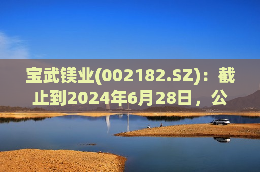 宝武镁业(002182.SZ)：截止到2024年6月28日，公司的股东户数为43967  第1张