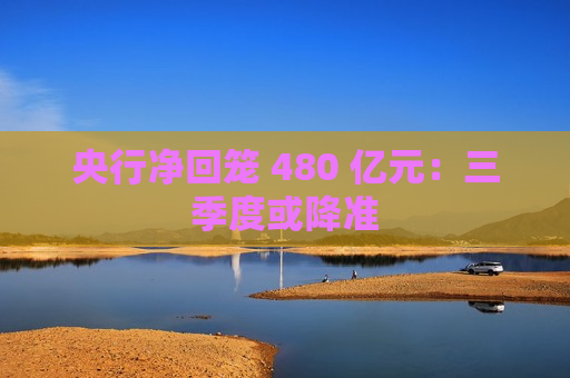 央行净回笼 480 亿元：三季度或降准