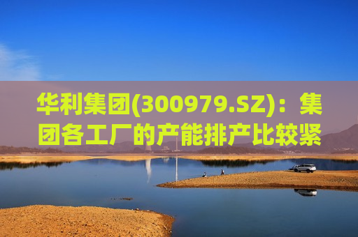 华利集团(300979.SZ)：集团各工厂的产能排产比较紧张  第1张