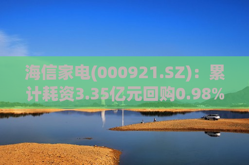 海信家电(000921.SZ)：累计耗资3.35亿元回购0.98%股份  第1张