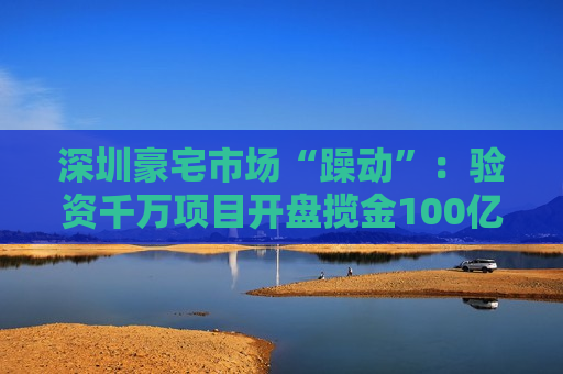 深圳豪宅市场“躁动”：验资千万项目开盘揽金100亿