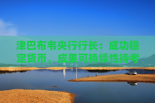 津巴布韦央行行长：成功稳定货币，成果可持续性待考  第1张