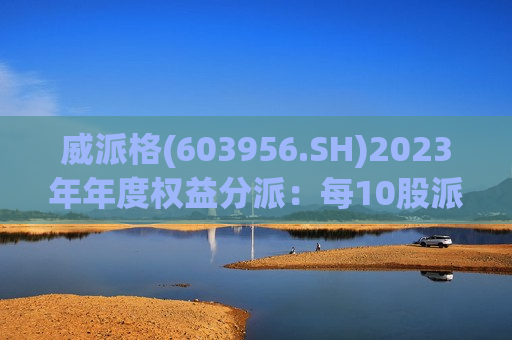 威派格(603956.SH)2023年年度权益分派：每10股派1元 6月6日股权登记  第1张