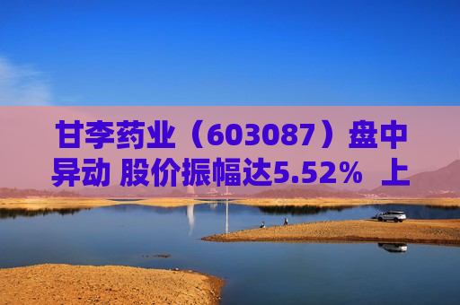 甘李药业（603087）盘中异动 股价振幅达5.52%  上涨7.06%（07-09）