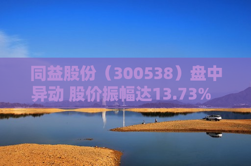 同益股份（300538）盘中异动 股价振幅达13.73%  上涨7.13%（07-09）