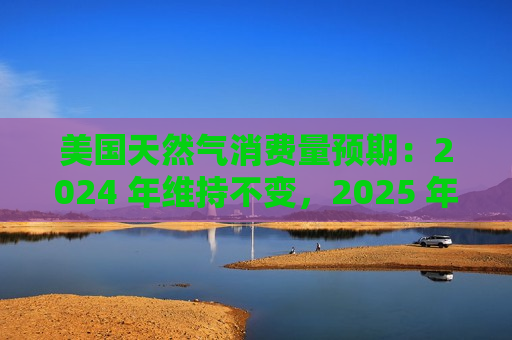 美国天然气消费量预期：2024 年维持不变，2025 年下调至 890 亿立方英尺/日