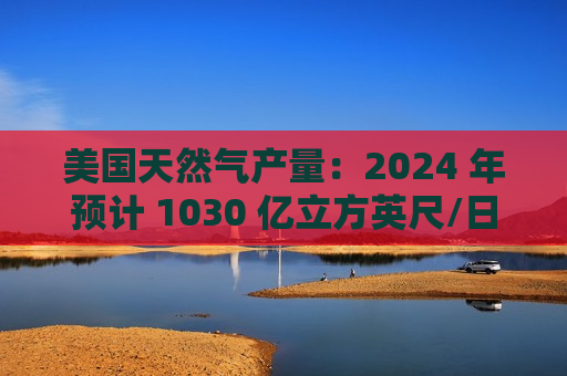 美国天然气产量：2024 年预计 1030 亿立方英尺/日，2025 年预计 1050 亿立方英尺/日