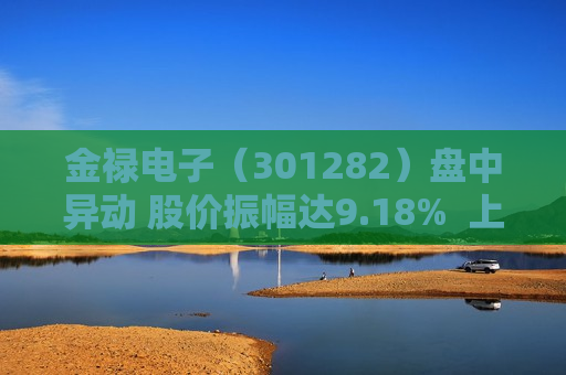 金禄电子（301282）盘中异动 股价振幅达9.18%  上涨7.71%（07-10）