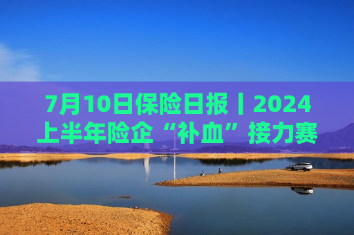 7月10日保险日报丨2024上半年险企“补血”接力赛，增资发债近300亿，再保险机构数量将扩容至15家