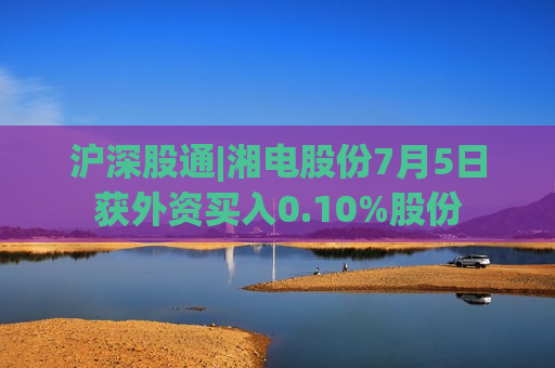 沪深股通|湘电股份7月5日获外资买入0.10%股份