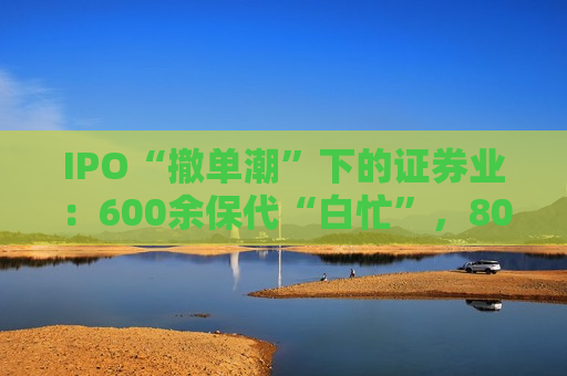 IPO“撤单潮”下的证券业：600余保代“白忙”，8000余从业者退场