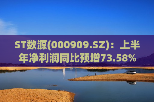 ST数源(000909.SZ)：上半年净利润同比预增73.58%-160.37%