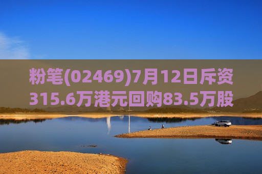 粉笔(02469)7月12日斥资315.6万港元回购83.5万股