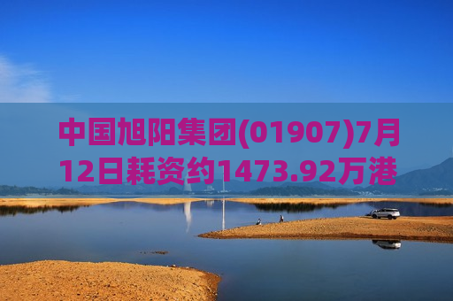 中国旭阳集团(01907)7月12日耗资约1473.92万港元回购492.4万股