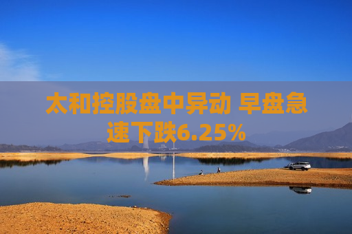 太和控股盘中异动 早盘急速下跌6.25%