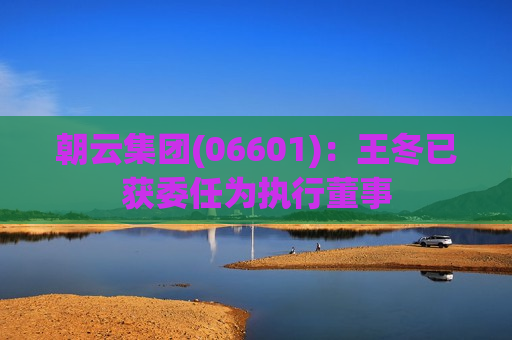 朝云集团(06601)：王冬已获委任为执行董事