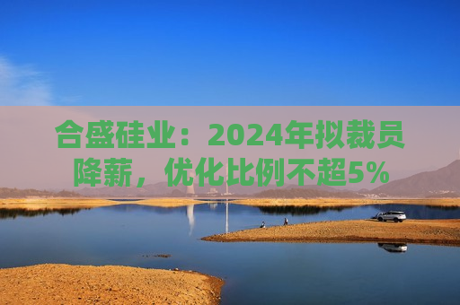 合盛硅业：2024年拟裁员降薪，优化比例不超5%