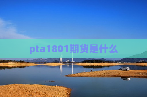 pta1801期货是什么