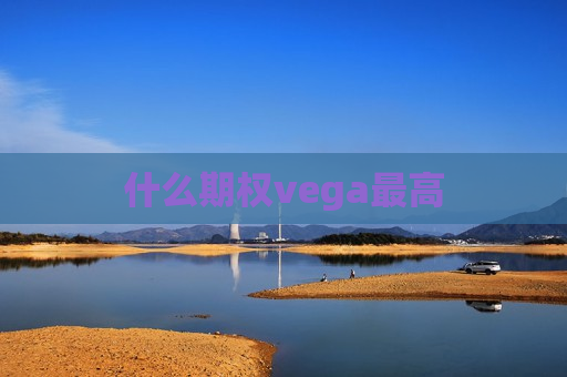 什么期权vega最高