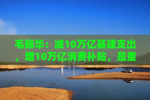 毛振华：减10万亿基建支出，增10万亿消费补贴，是重启中国经济复苏的关健