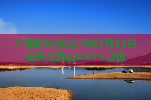 沪深股通|水羊股份7月22日获外资卖出0.01%股份