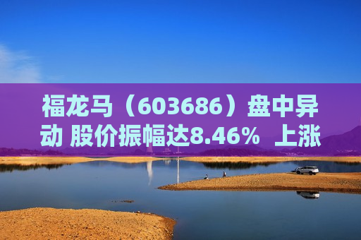 福龙马（603686）盘中异动 股价振幅达8.46%  上涨9.87%（07-19）