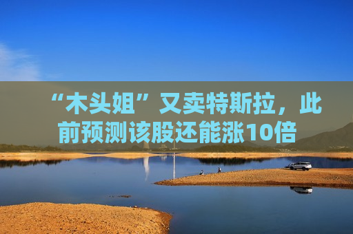 “木头姐”又卖特斯拉，此前预测该股还能涨10倍