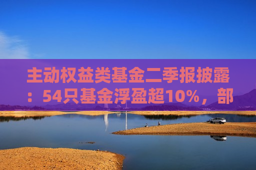 主动权益类基金二季报披露：54只基金浮盈超10%，部分浮亏超20%