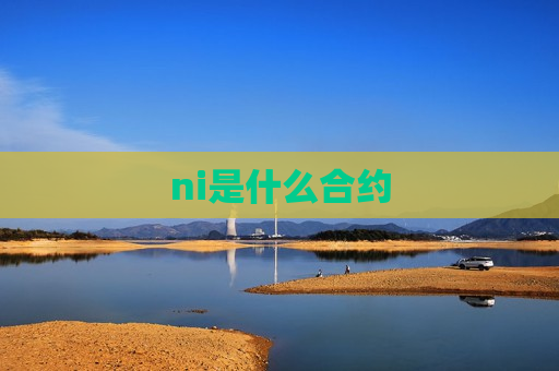 ni是什么合约