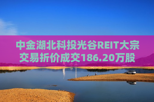 中金湖北科投光谷REIT大宗交易折价成交186.20万股