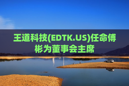 王道科技(EDTK.US)任命傅彬为董事会主席