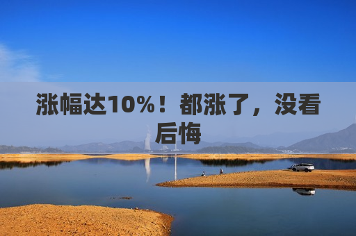 涨幅达10%！都涨了，没看后悔