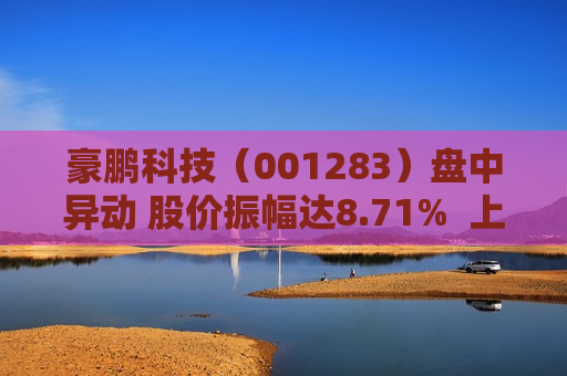 豪鹏科技（001283）盘中异动 股价振幅达8.71%  上涨6.74%（07-24）