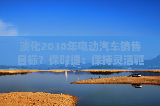 淡化2030年电动汽车销售目标？保时捷：保持灵活驱动系统更重要