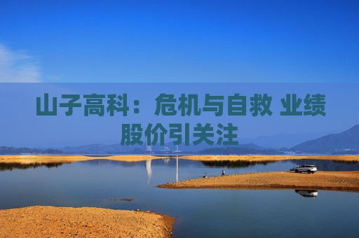 山子高科：危机与自救 业绩股价引关注  第1张