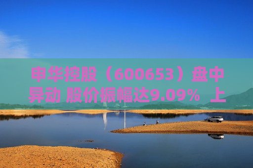 申华控股（600653）盘中异动 股价振幅达9.09%  上涨8.26%（07-29） 第1张