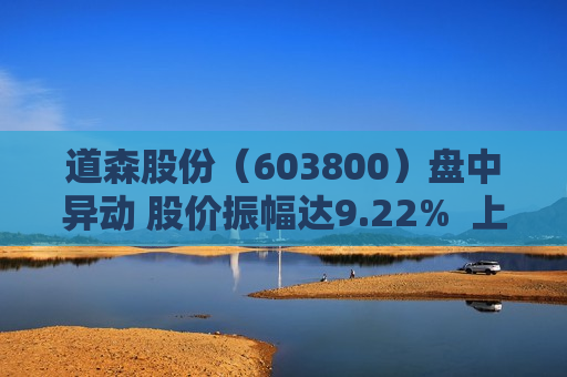 道森股份（603800）盘中异动 股价振幅达9.22%  上涨8.42%（07-29）